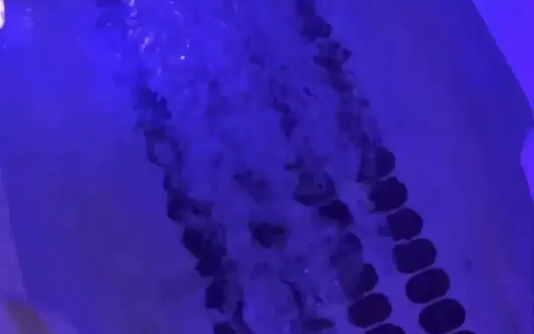 Rows of jets running along the floor of a purple lit bath