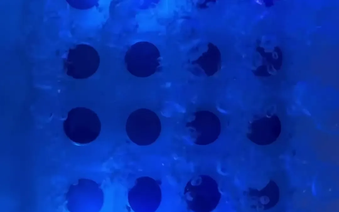 Jets churning the water along the floor of a blue lit bath